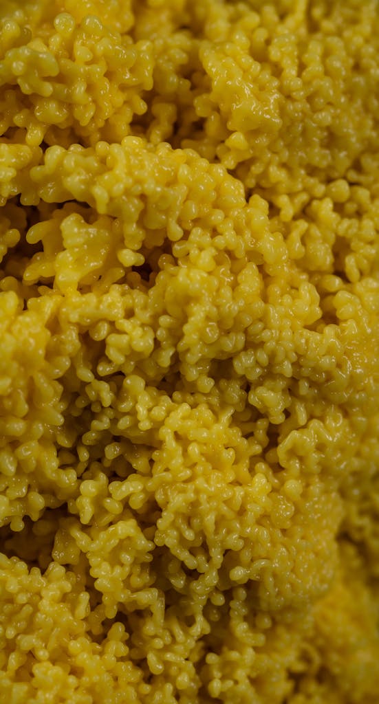 Couscous